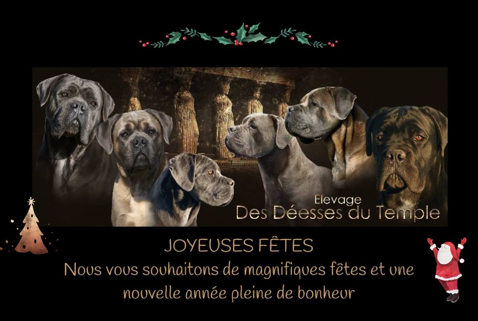 Des Deesses Du Temple - JOYEUSES FÊTES DE FIN D'ANNÉE 