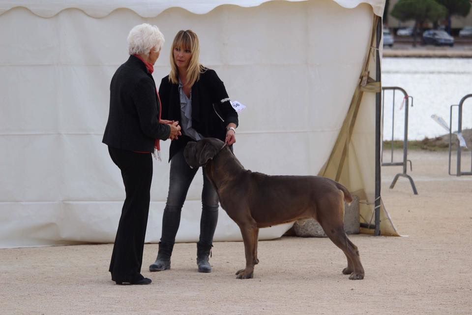 Des Deesses Du Temple - EXPOSITION INTERNATIONALE DE MARTIGUES 