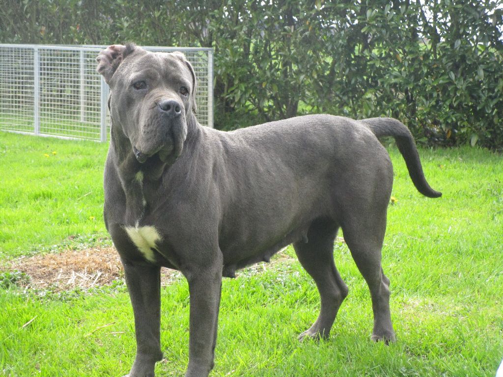 Mina Des Deesses Du Temple