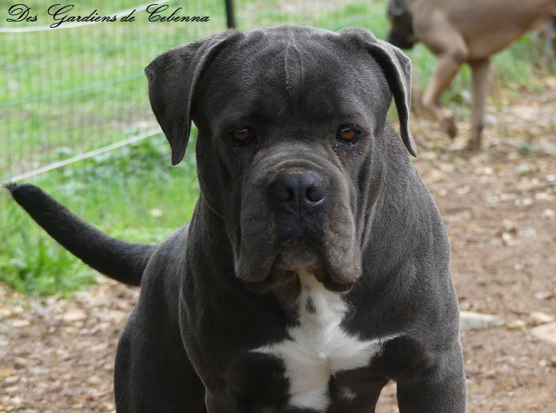 Marylin monroe Des Deesses Du Temple