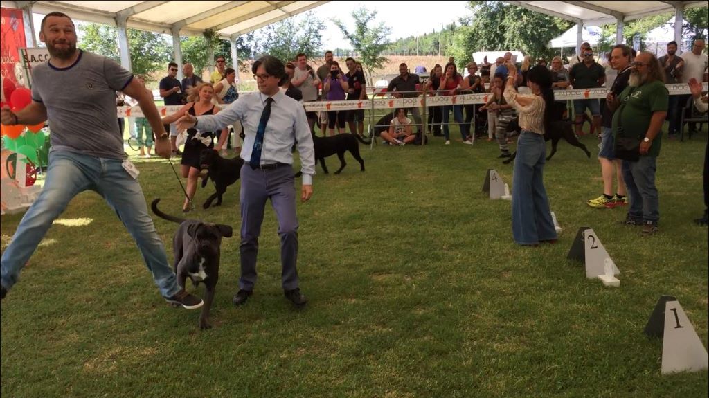 Des Deesses Du Temple - Raduno Dell Anno (Ne Italienne) et 1er Championnat du Monde du Cane