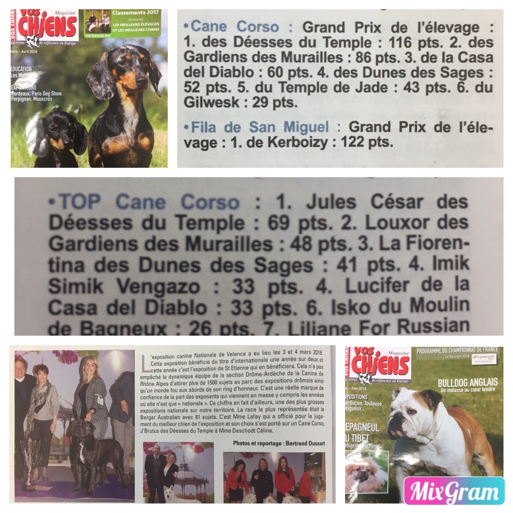Des Deesses Du Temple - Les Déesses à l'honneur dans Vos Chiens Magazine