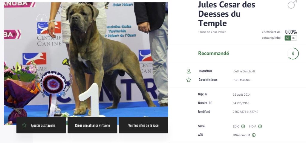 Des Deesses Du Temple - RETOUR DE NOS DERNIERES LECTURES OFFICIELLES