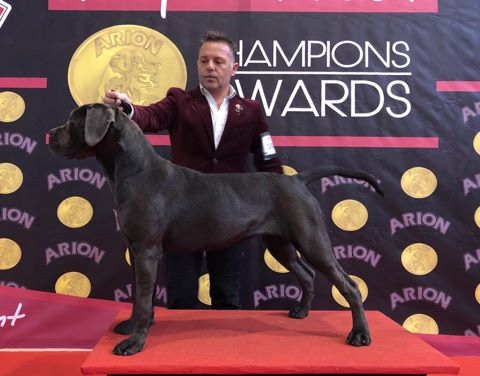 Des Deesses Du Temple - PORTO WINNER 2018